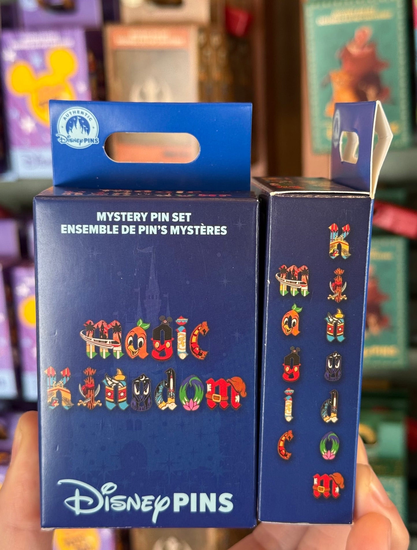 Magic Kingdom Mystery Box