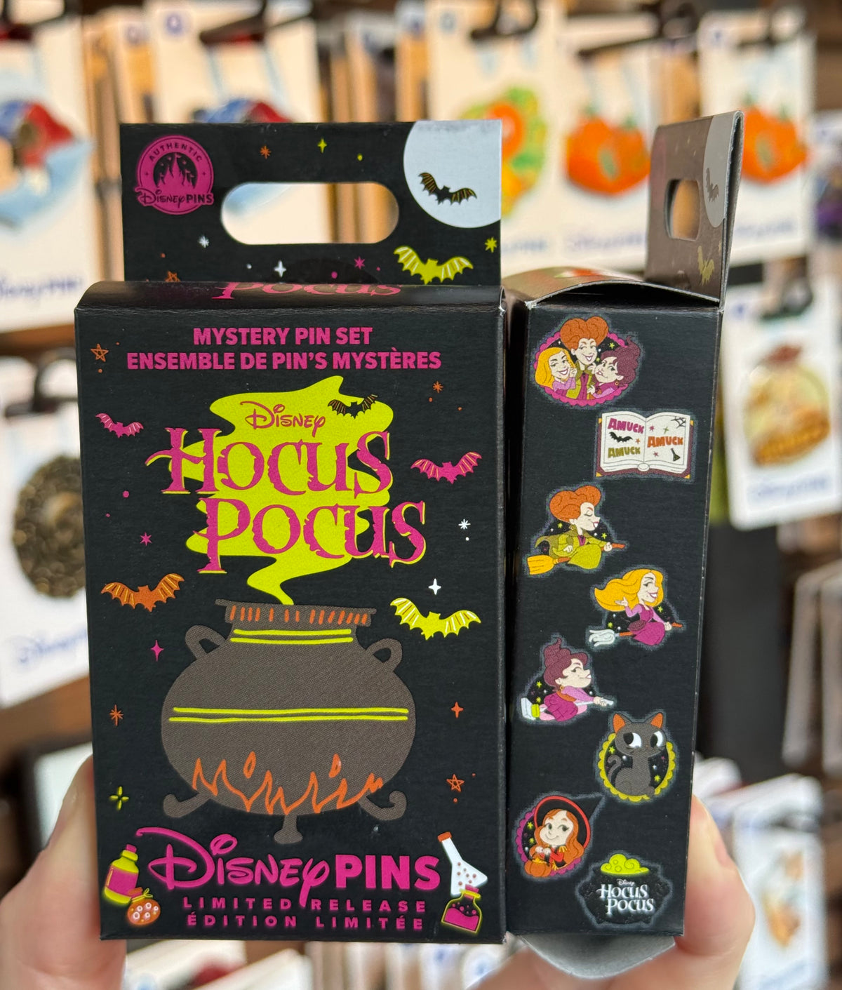 Hocus Pocus Mystery Box