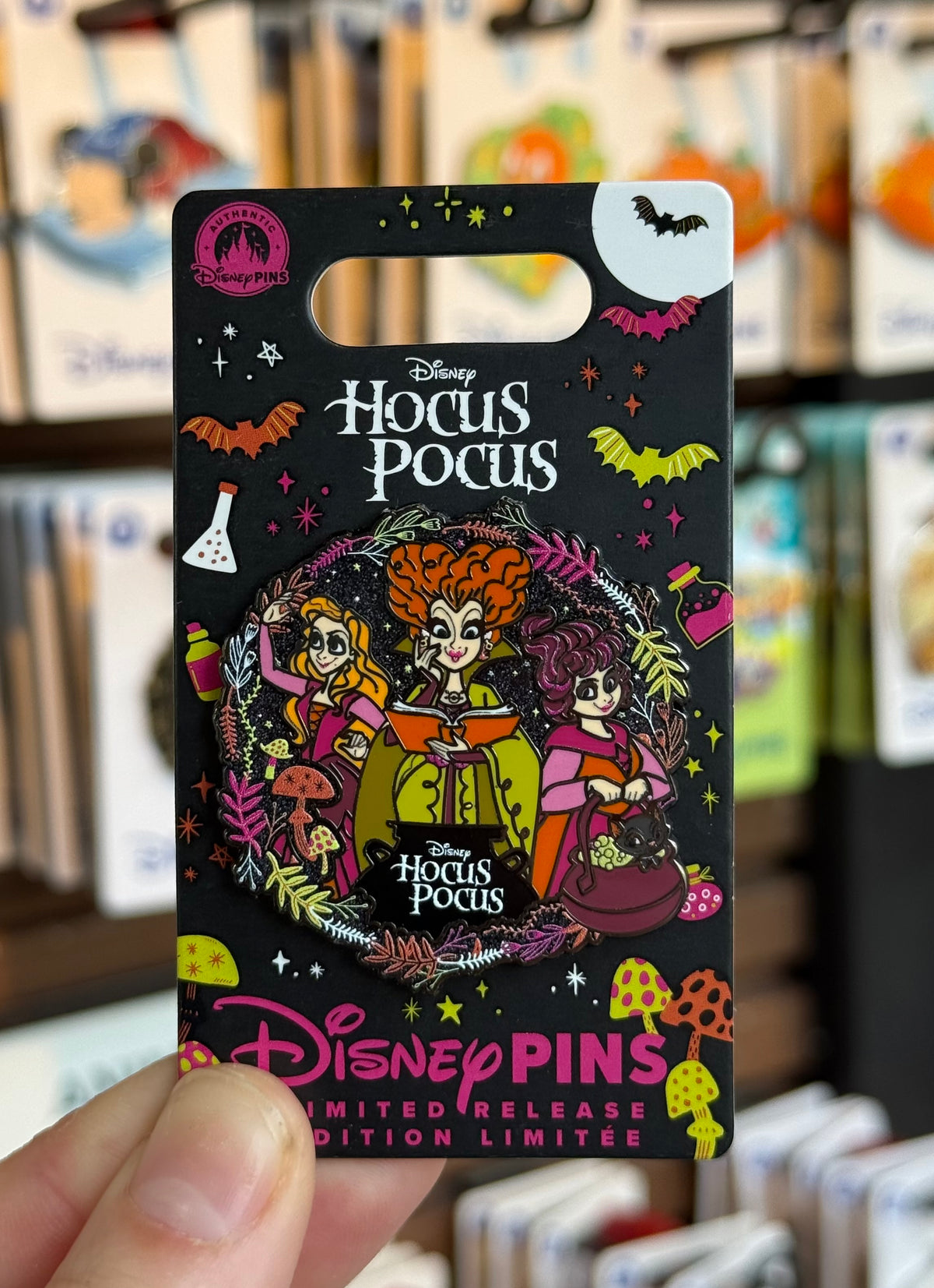 Hocus Pocus Sandersisters