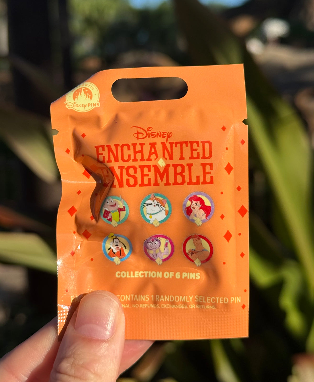 Enchanted Ensembles~ Orange