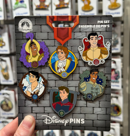 6 Pack Disney Princes