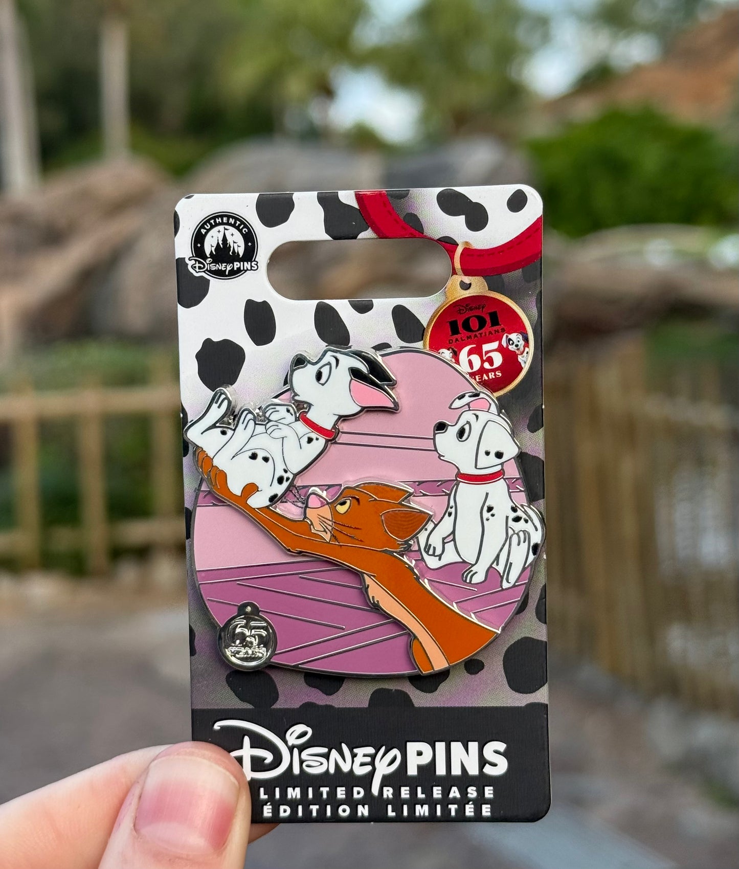 101 Dalmatian 65th LR