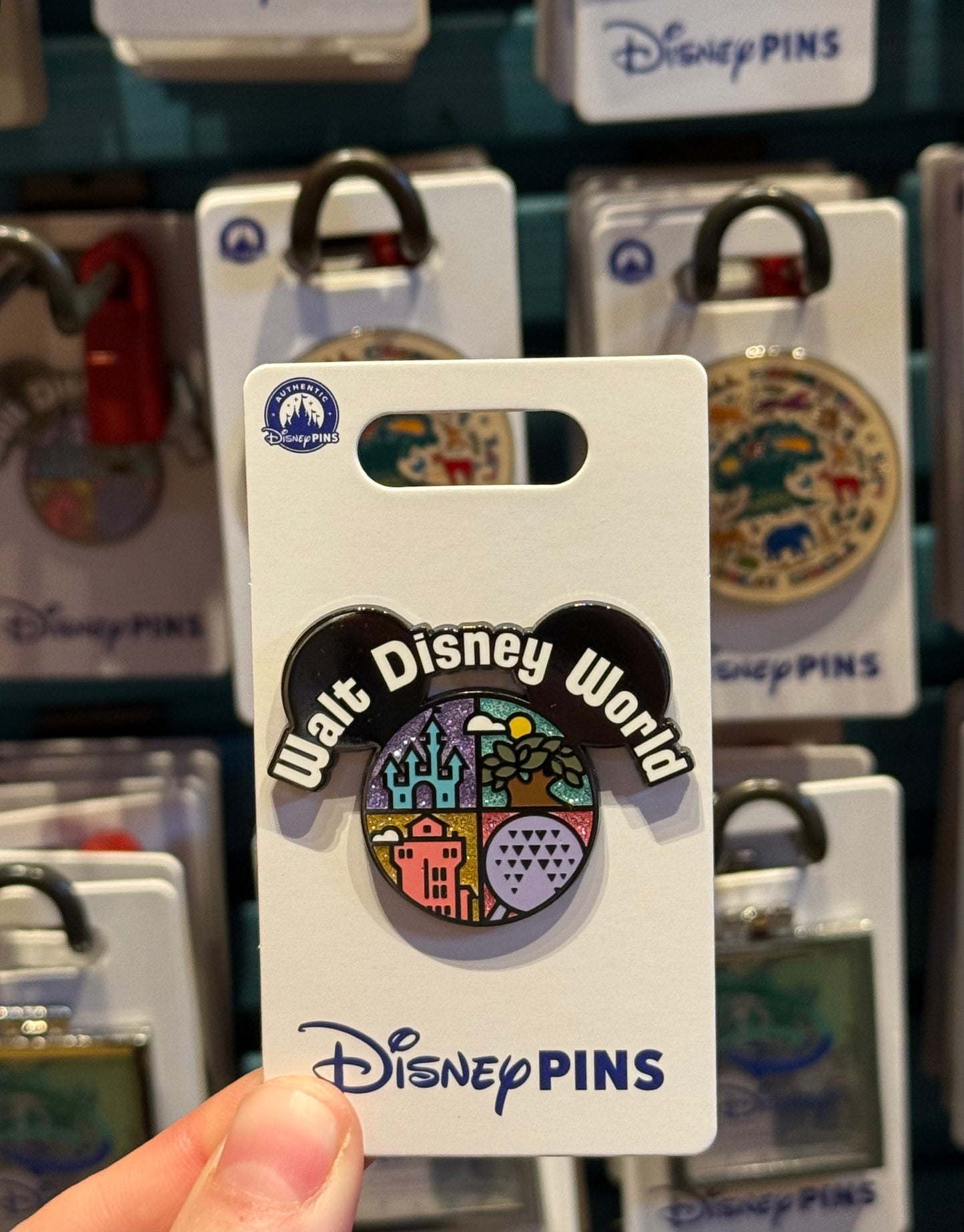 Walt Disney World Parks Pin