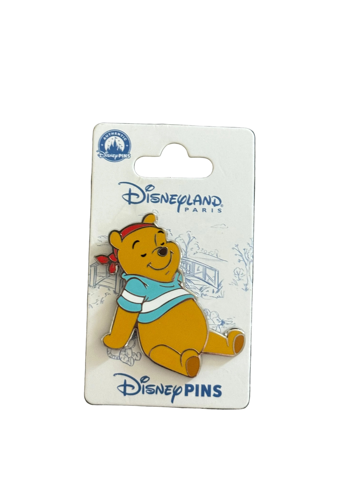 Paris Pirate Pooh